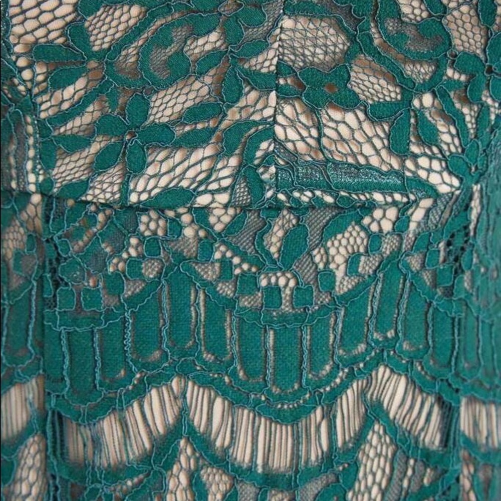 Hunter Green Lace Overlay Fit & Flare Dress - Picture 5 of 6